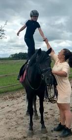 Lieve leermeester,  bomproof. TE LEASE ! Of te koop, Dieren en Toebehoren, Pony's, Gechipt, Ruin, Springpony, L