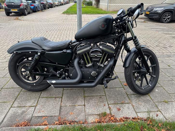 Harley Davidson Chopper iron 883, Motoren, Motoren | Harley-Davidson, Particulier, Chopper, meer dan 35 kW, 2 cilinders, Sportuitlaat