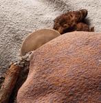 Leolux Pode Tweak lounge bank NIEUW, Ophalen, Nieuw, Vierpersoons of meer, Stof