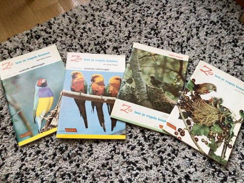4 Plakplaatjes boeken Rizla+ ZO LEER JE VOGELS KENNEN, Boeken, Prentenboeken en Plaatjesalbums, Gelezen, Ophalen of Verzenden