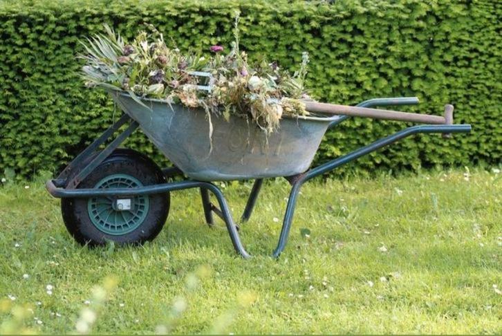 Tuinman "GEZOCHT" omgeving Heerlen, Hobby en Vrije tijd, Overige Hobby en Vrije tijd, Ophalen