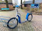 Degelijke Hondenstep / Kickbike, Ophalen, Gebruikt, Kickbike
