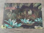 Indische waterlelies placemat efteling, Ophalen of Verzenden