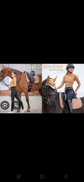 Horsegloss dressuurdekje caramel beschikbaar voor biedingen
