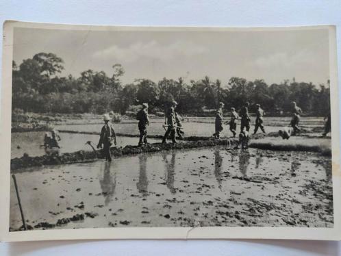 B78 Militair, Verzamelen, Foto's en Prenten, Voor 1940, Ophalen of Verzenden