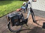 E bike Victesse, Gebruikt, Versnellingen, 50 tot 53 cm, Ophalen