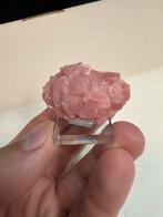 Rhodochrosiet uit Zuid-Afrika, Ophalen of Verzenden, Mineraal