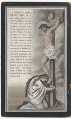 pastoor Joannes Mertens 1842 Londerzeel + 1913 aldaar, 70 jr, Verzenden