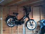 Tomos standaard nieuw, Fietsen en Brommers, Ophalen, Nieuw, Standard, Maximaal 25 km/u