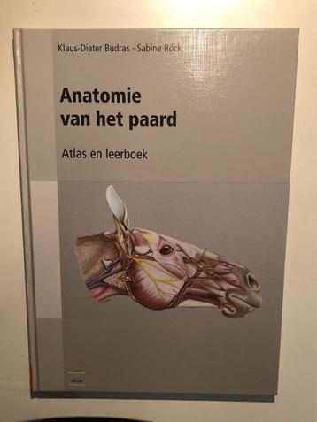 Anatomie van het paard, geïllustreerde encyclopedie beschikbaar voor biedingen