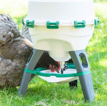 Drinkbak kip kippen kippenmeel kippeklegkorrel beschikbaar voor biedingen