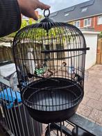Vogel kooi klein, Ophalen of Verzenden, Zo goed als nieuw, Vogelkooi