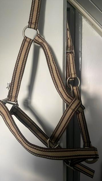 Nieuw bruin halster maat Full beschikbaar voor biedingen