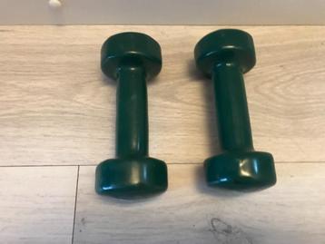 Gewichten van 2kg (2 stuks) beschikbaar voor biedingen