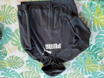 Puma heten hoody maat XL beschikbaar voor biedingen