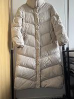 Puffer jacket Esprit, Kleding | Heren, Jassen | Winter, Verzenden, Wit, Esprit, Gedragen