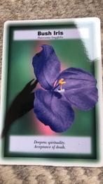 Australische Bloemen inzichtkaarten, Ophalen of Verzenden, Zo goed als nieuw, Tarot of Kaarten leggen, Overige typen