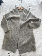 Acne Studios, vest light grey, size xs, Ophalen of Verzenden, Zo goed als nieuw, Maat 34 (XS) of kleiner, Grijs