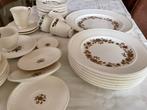 Wedgwood servies - Radcliff - Briar Rose - Moss Rose, Ophalen
