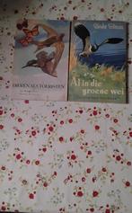 Antieke boekjes Rinke Tolman illustraties Rein stuurman, Ophalen of Verzenden, Gelezen