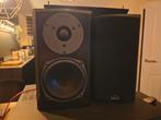 Magnat Vector Needle 11 Luidsprekers, Audio, Tv en Foto, Luidsprekers, Ophalen of Verzenden, Gebruikt, Front, Rear of Stereo speakers