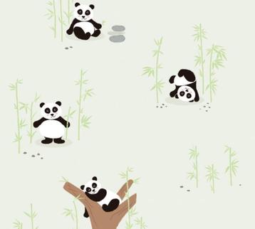 3 rol AS Creation behang met pandabeertjes voor 35,00 beschikbaar voor biedingen