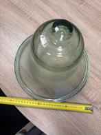 Glazen Cloche / Stolp voor Tuin, 25 tot 50 cm, Rond, Ophalen of Verzenden, Zo goed als nieuw