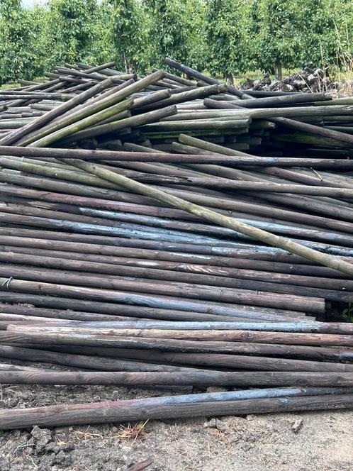 gecreosoteerde palen (boompalen), Tuin en Terras, Palen, Balken en Planken, Nieuw, Palen, 250 cm of meer, Ophalen