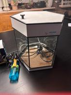 Aquarium Minireef voor visjes of garnaaltjes, Dieren en Toebehoren, Vissen | Aquaria en Toebehoren, Ophalen of Verzenden, Gebruikt