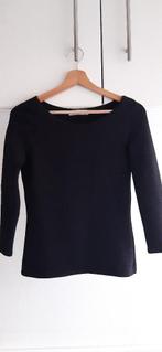 Vanilia top maat 36 te koop, Kleding | Dames, Tops, Vanilia, Zwart, Ophalen of Verzenden, Zo goed als nieuw