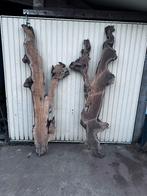 olijfhout hout planken Schaaldelen olijfboom, epoxy, Ophalen, Minder dan 25 mm, Nieuw, Plank