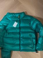 Nocta heren jas maat M Nieuw, Kleding | Heren, Jassen | Winter, Ophalen of Verzenden, Nieuw, Maat 48/50 (M), Groen