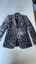 Tijgerprint pak – blazer en broek als set. New!, Ophalen of Verzenden, Zo goed als nieuw