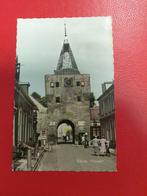 Elburg Vispoort, Verzamelen, Ansichtkaarten | Nederland, Ophalen of Verzenden, Gelderland