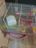 Hamster met kooi en voer, Dieren en Toebehoren, Ophalen of Verzenden