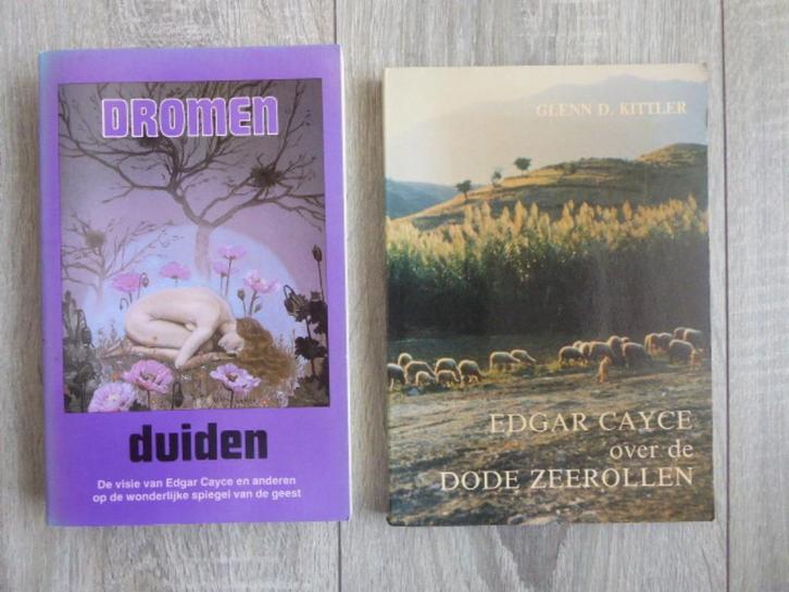 DROMEN DUIDEN   visie Edgar Cayce e.a.  pb 4e druk 1994, Boeken, Esoterie en Spiritualiteit, Gelezen, Overige typen, Overige onderwerpen