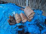 Hout, stookhout, verwarming, kachel, openhaard, vuurkorf, Ophalen, Overige houtsoorten, Stammen