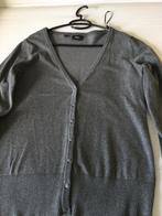 Vest grijs BP collection mooi vest!, Maat 42/44 (L), Nieuw, Ophalen of Verzenden, Bon Prix