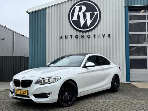 BMW 2 Serie Coupé 220d High Executive M-Sport / BI-Xenon /, Auto's, BMW, Bedrijf, Te koop, 2-Serie, ABS, Airbags, Airconditioning