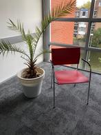 THONET vergaderstoel, Huis en Inrichting, Stoelen, Kunststof, Modern, Gebruikt, Eén