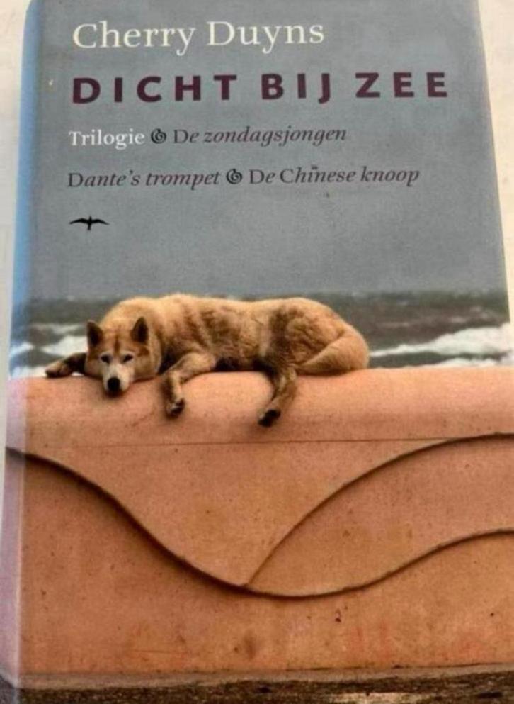 CHERRYTOMAATJES DUYNS DICHT BIJ ZEE TRILOGIE, Boeken, Literatuur, Zo goed als nieuw, Ophalen of Verzenden