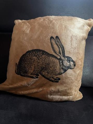 Bruine kussen Nieuw. Haas/ Konijn .  Hoes beschikbaar voor biedingen