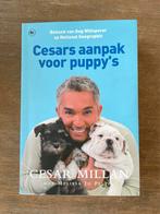 Cesar Millan - Cesars aanpak voor puppy's, Gelezen, Honden, Cesar Millan, Ophalen of Verzenden
