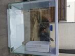 Superfish aquarium home 45, Dieren en Toebehoren, Vissen | Aquaria en Toebehoren, Ophalen, Gebruikt, Leeg aquarium