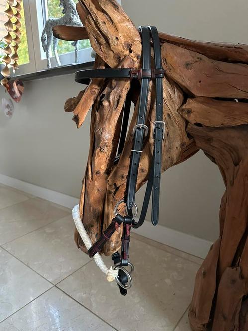 Nieuwe lederen bitloze hoofdstellen sidepull single rope, Dieren en Toebehoren, Paarden en Pony's | Hoofdstellen en Tuigage, Nieuw