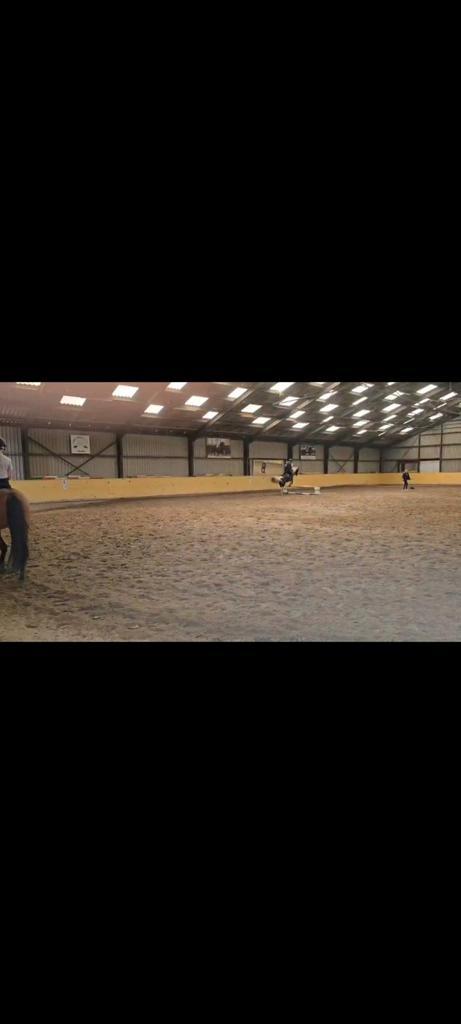 Gezocht verzorg paard/pony!, Dieren en Toebehoren, Paarden en Pony's | Verzorgingsproducten, Nieuw, Ophalen of Verzenden