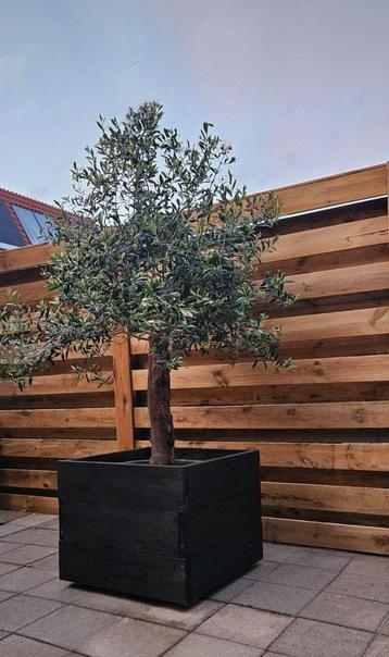 Stijlvolle Houten Plantenbak beschikbaar voor biedingen