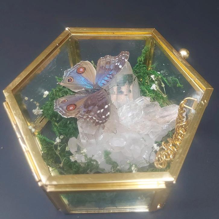 Prachtige bergkristal met vlinder in glazen doosje, Huis en Inrichting, Woonaccessoires | Stolpen, Zo goed als nieuw, Ophalen of Verzenden