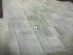 Rest partij betontegels 60x60x4 cm 10,08 m2, Ophalen, Zo goed als nieuw, 10 m² of meer, Beton
