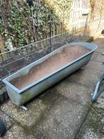 antiek ligbad voor plantenbak, Tuin en Terras, Bloeit niet, Halfschaduw, Minder dan 100 cm, Overige soorten